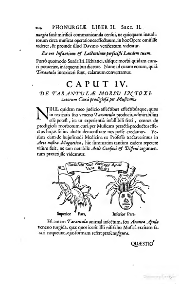 Athanasius Kircher, Phonurgia Nova, 1673, pagina 204, scansione originale completa.